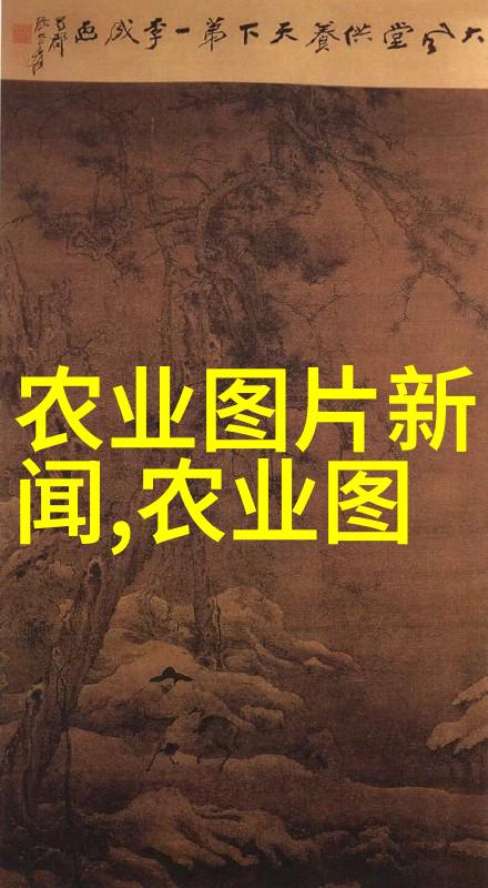 茶花树的阴影家中不宜之谜
