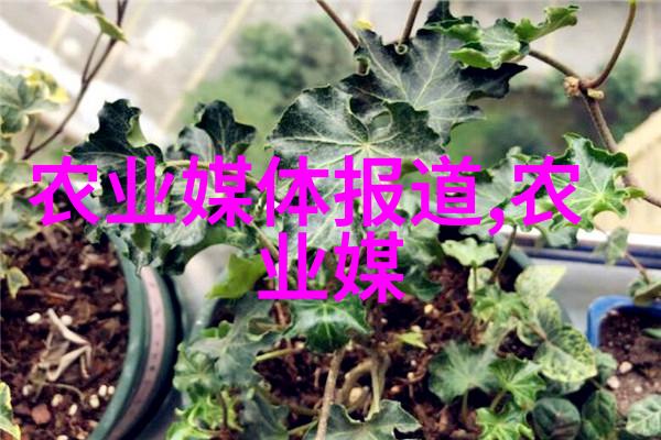 国家乡村振兴局组织开展消费帮扶助农增收集中行动 解决农产品滞销卖难问题
