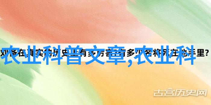 二次元扑克之恋