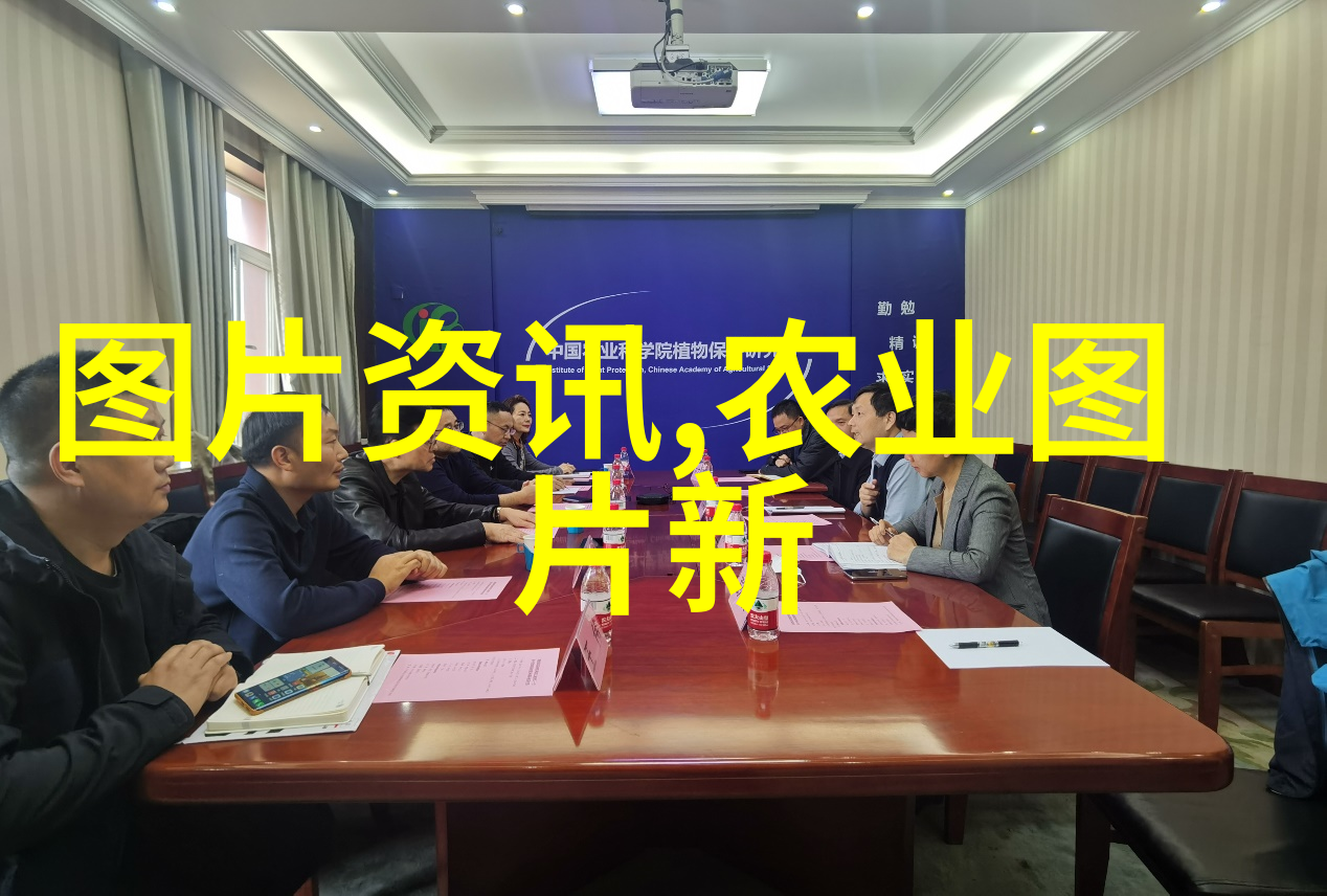 盗墓笔记少年篇沙海青春与考古的奇幻旅程
