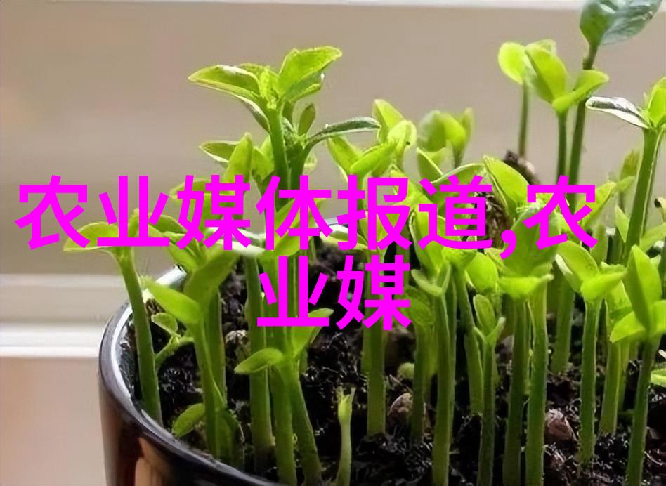 灵芝种植指南如何高效种植和养护灵芝