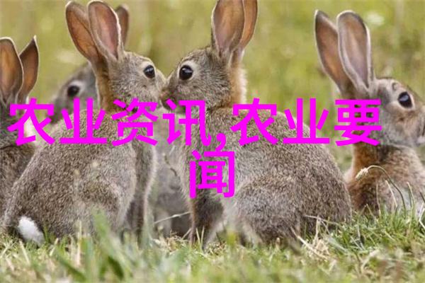 绿意盎然的选择探索那些既易养又美观的小盆景