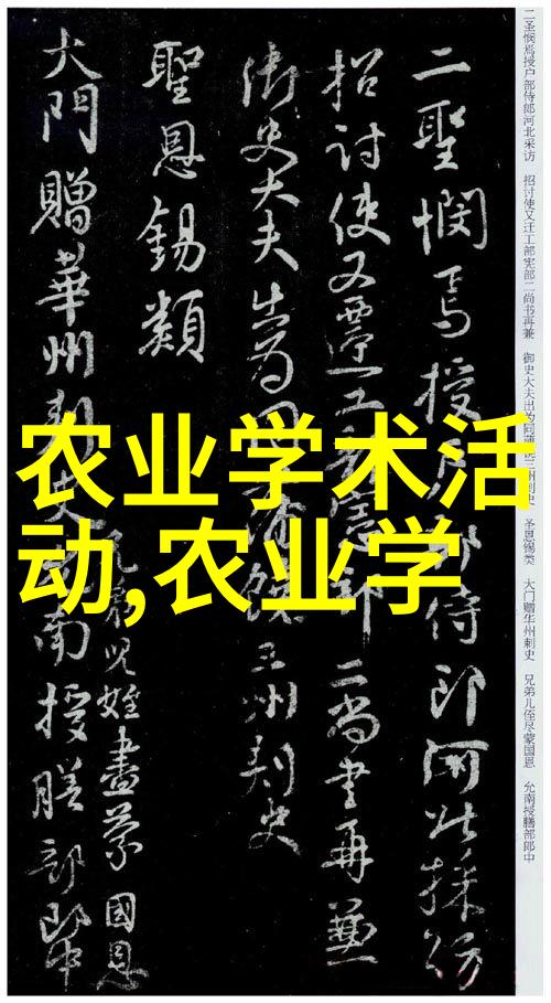 养蜂技术视频全过程我来教你如何从新手到大师