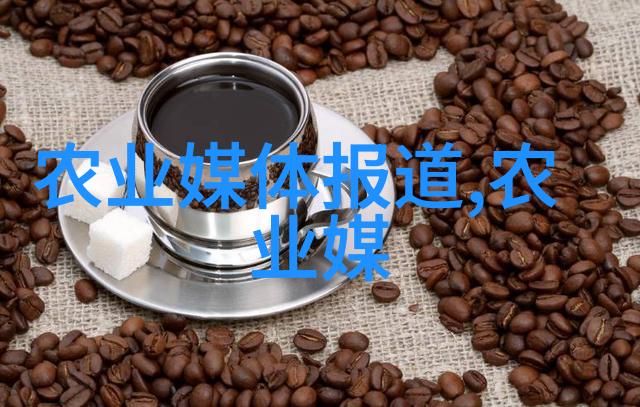 血洗银枪的传说与现实探索碧血txt背后的故事