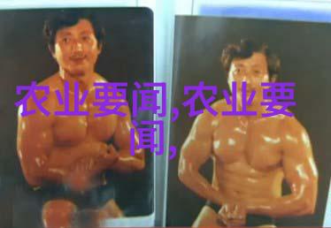促进乌鲁木齐地区农业现代化的是哪些关键因素和策略