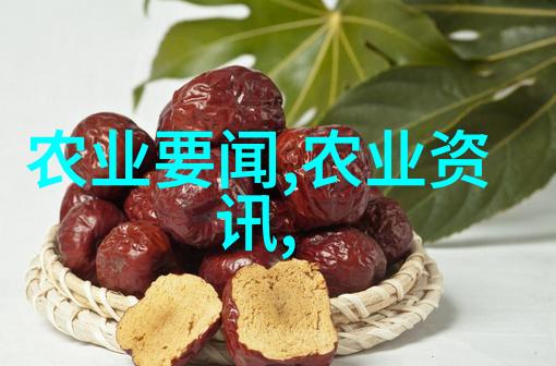 蜜蜂养殖入门从选择种类到建立蜂箱的全过程