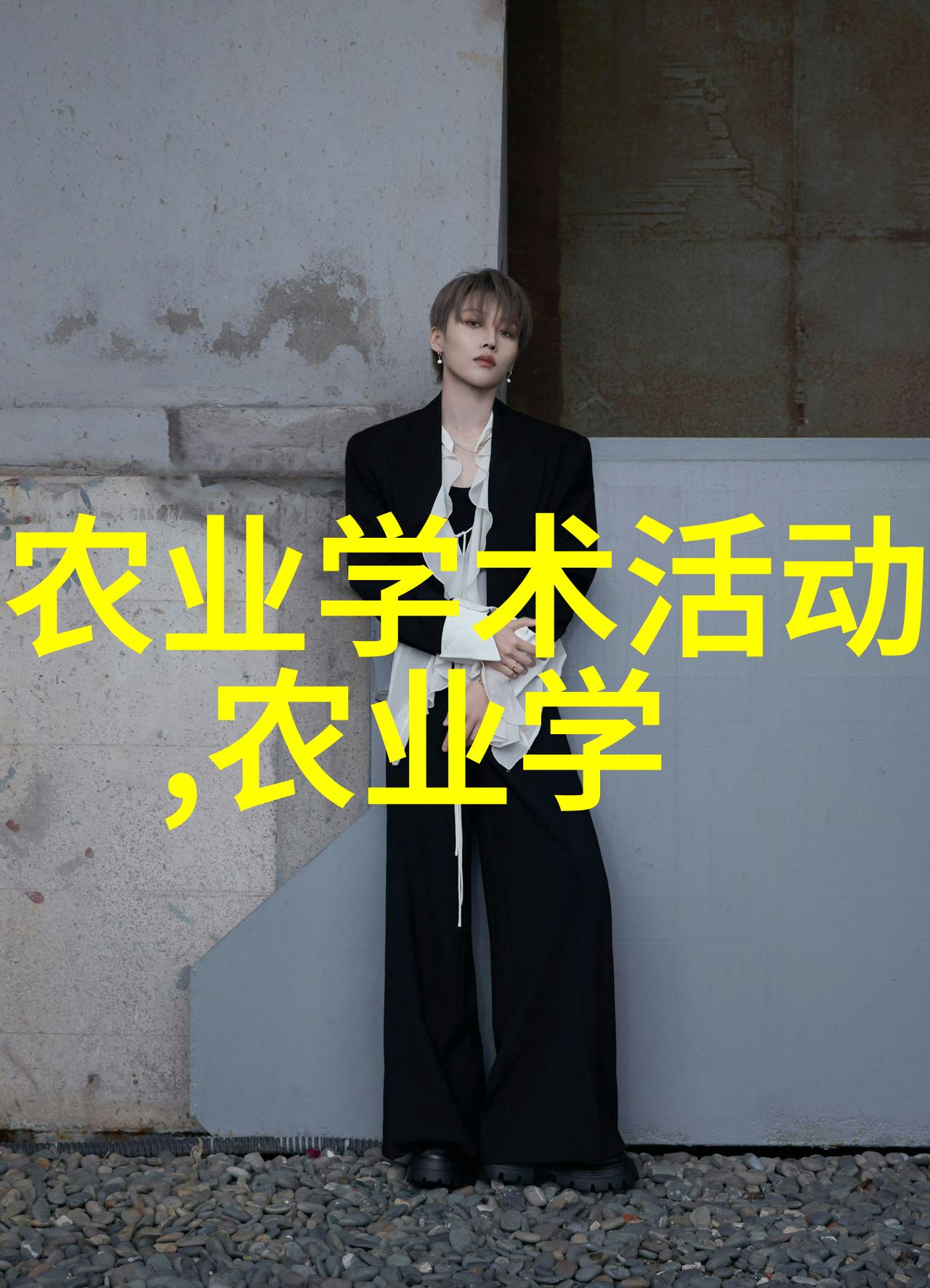 我来告诉你茶叶的种类多到让人头大从普洱到绿茶一步步探秘