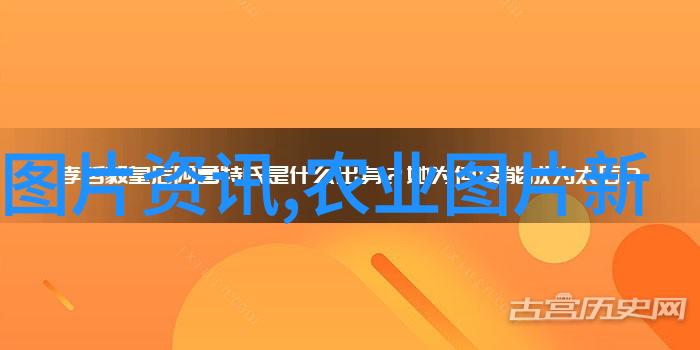 在田间里寻找财源滋润详解选择合适药用植物