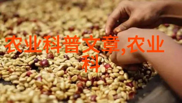 种植什么东西最赚钱农村-金稻与银花揭秘农村高收获的财富之源