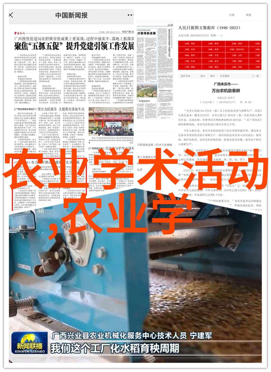 家庭生活-摘自心房真实家庭水果照片的故事