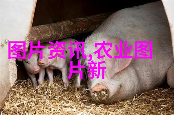 养殖业最好选择多元化养殖模式