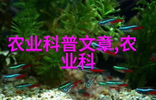 智能 agriculture 技术如何改变中国农田生产模式
