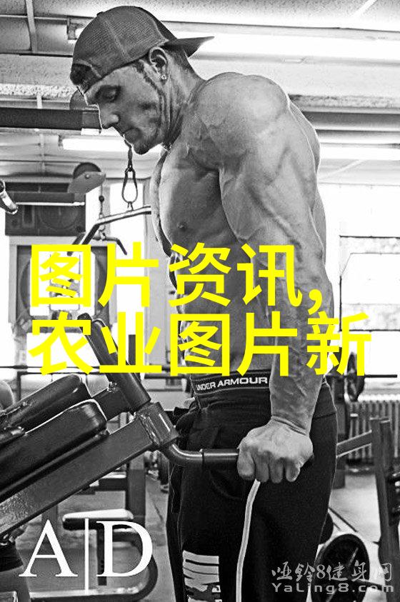 河南沃土培育药用奇葩探索适合河南种植的名贵药材