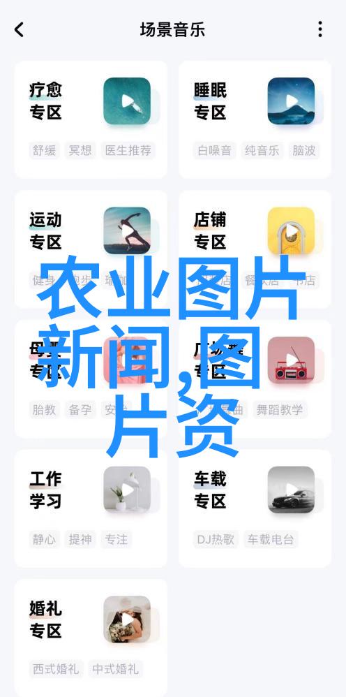 甜蜜的夏日车厘子的诗篇