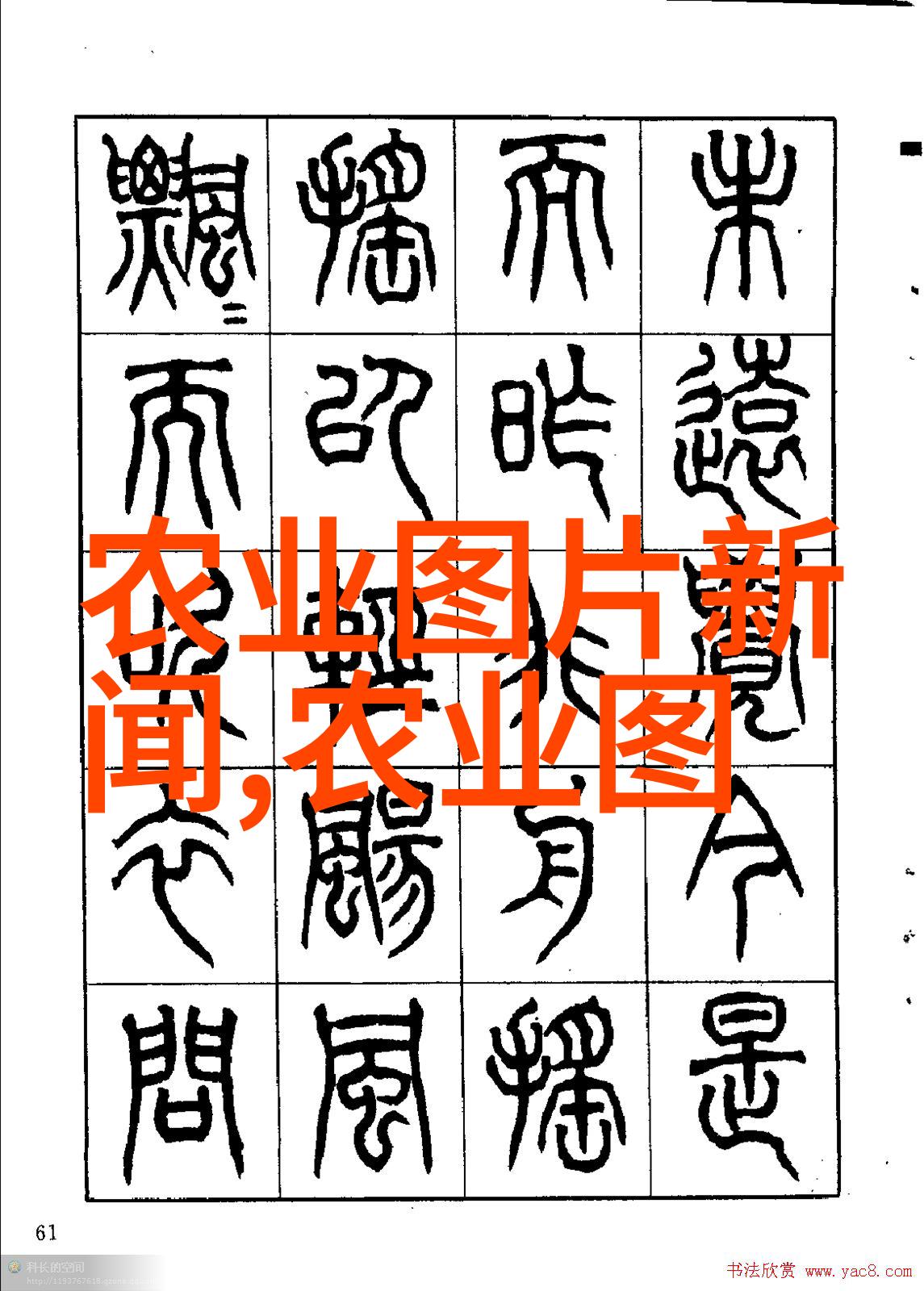探索药材之源领略中草药的自然栖息地