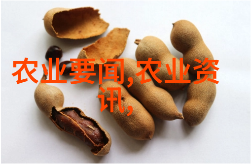 刑罚政策微调新民法典的犯罪惩治理念变化探讨