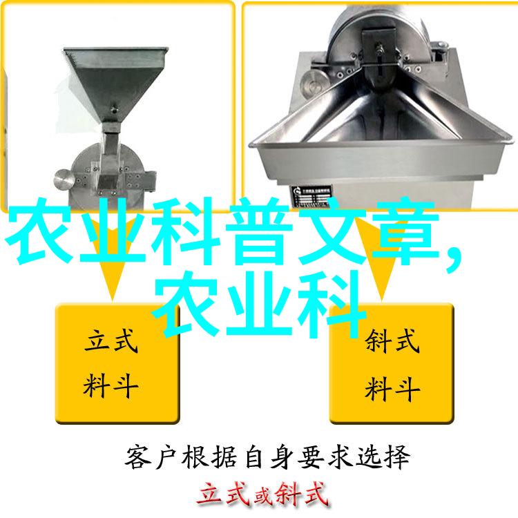 从小到大的奇迹不同类型的水果种子图片展示