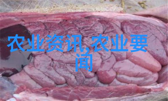 社保制度改革对退休人员生活水平产生多大影响