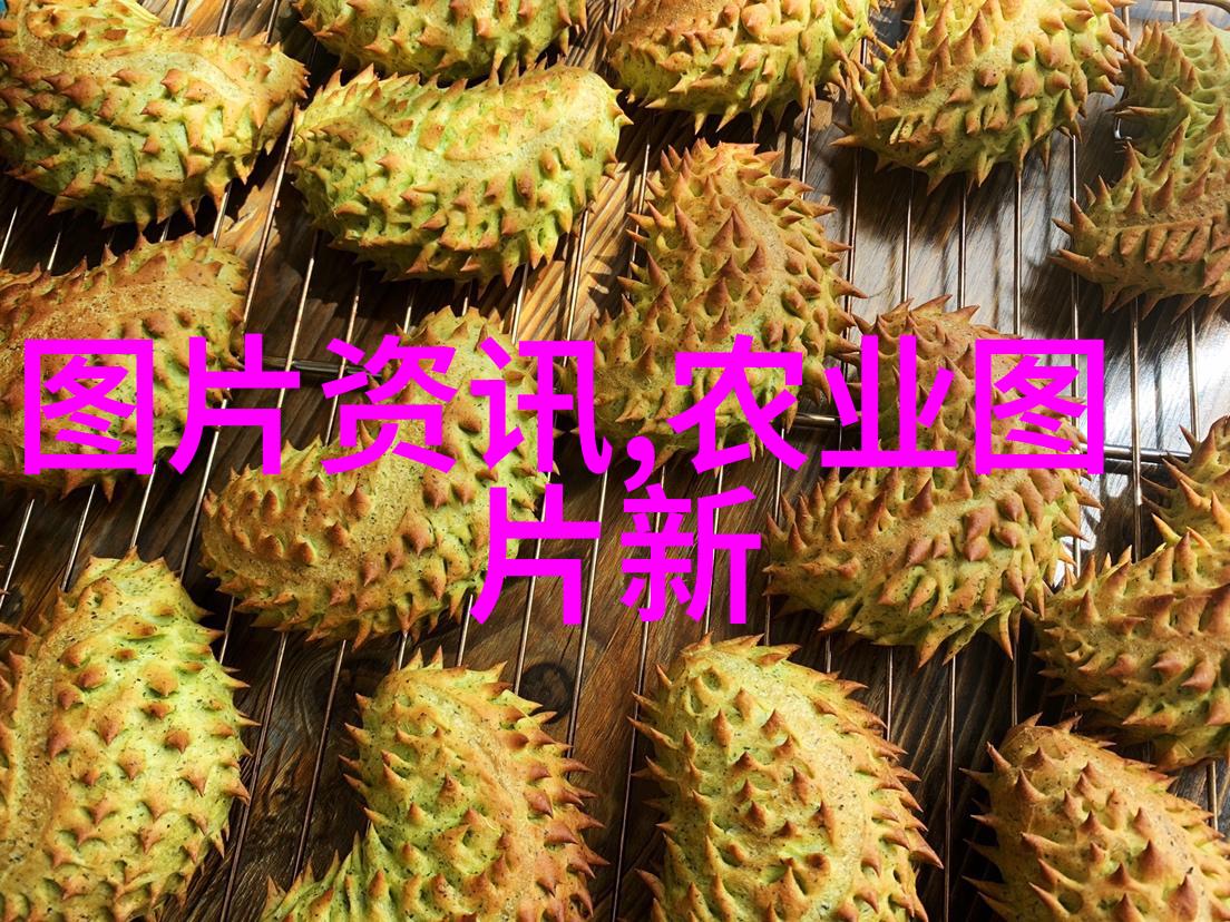 品味多样茶揭秘各种各样的茶饮健康益处