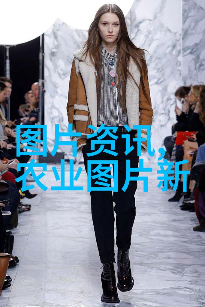 丰收的旋律追逐农业的金色快车