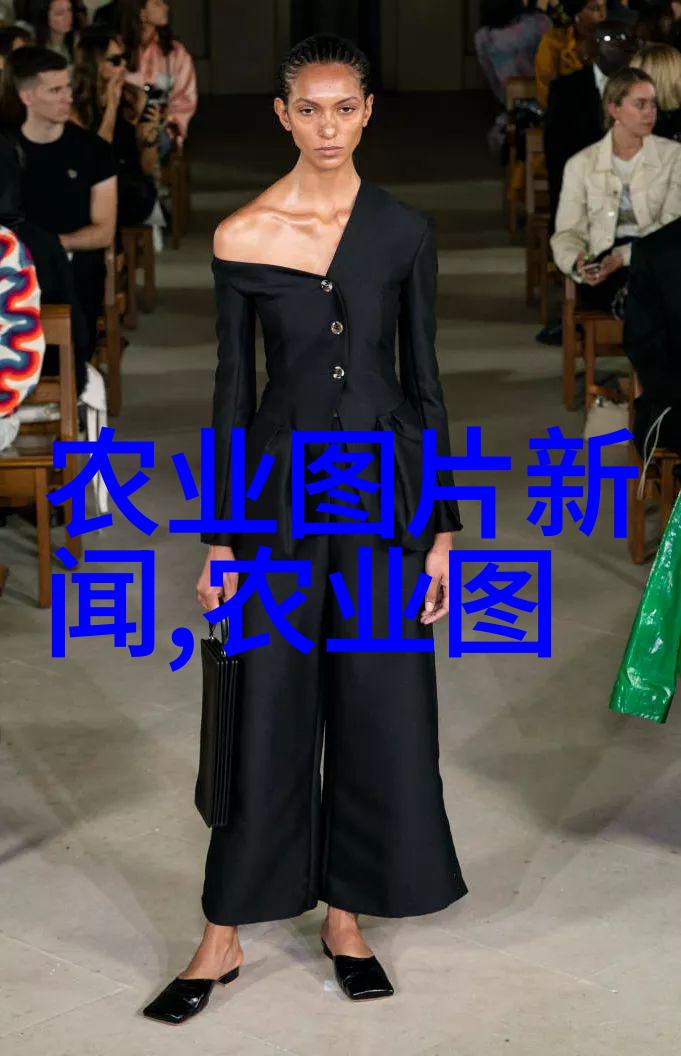各类花卉养殖技术我是如何从零到英雄的养花故事