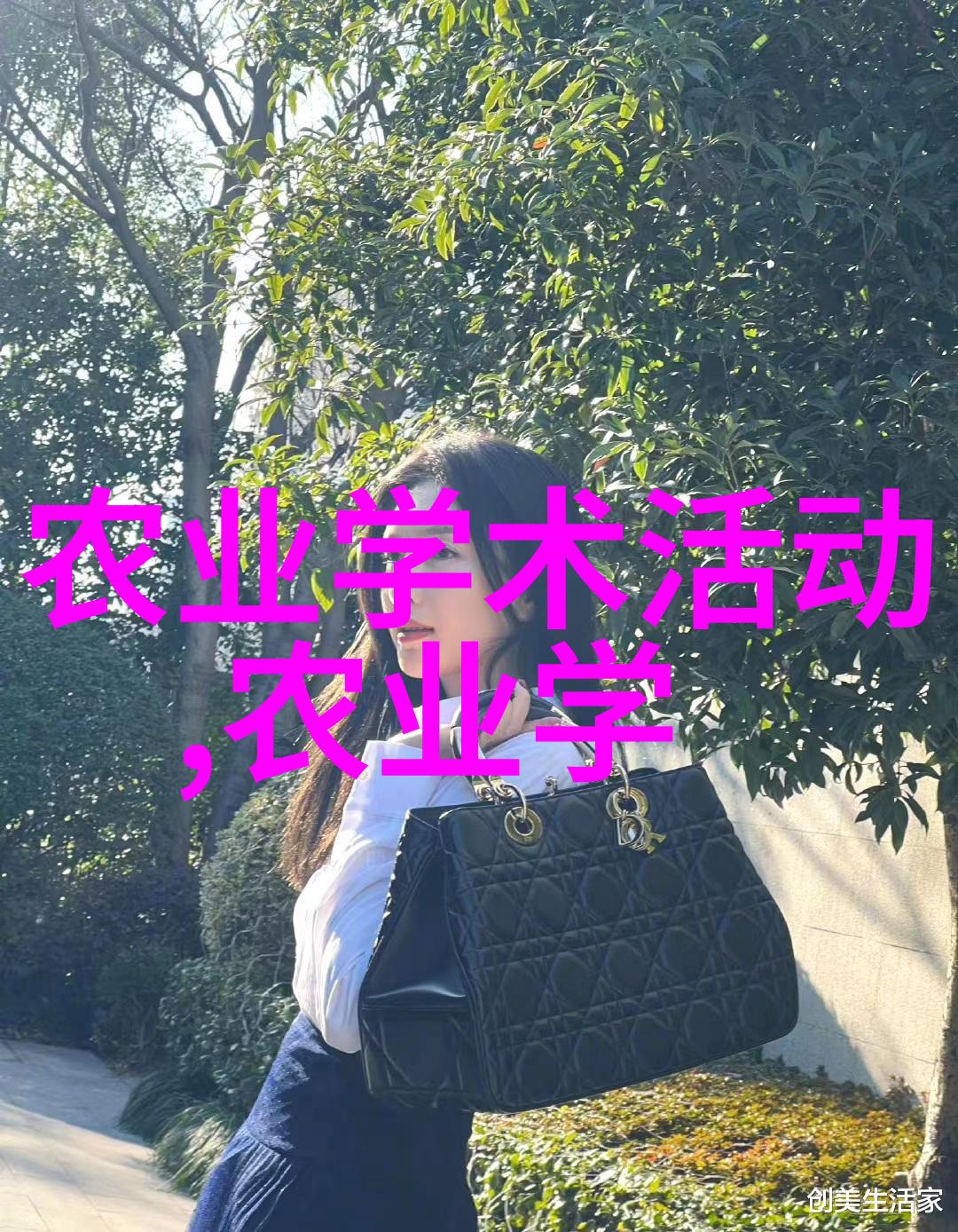 春季美学大师班如何选择适合季节的盆栽花卉