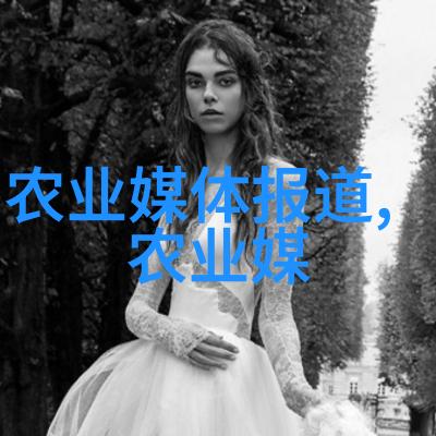 鄢陵苗木价格一览表-精准测算鄢陵地区各类苗木最新市场价