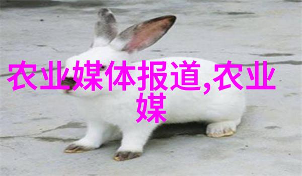 中国牛羊养殖网如何确保畜牧业的可持续发展