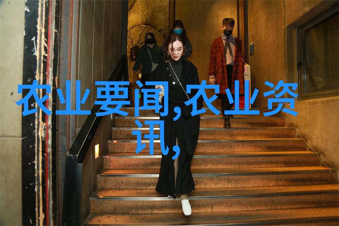 蜂箱的选择与准备初次养蜂者的必读指南
