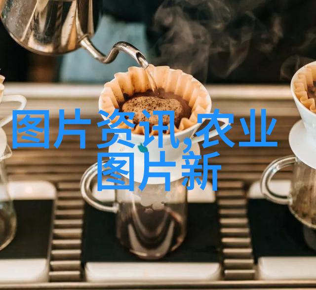 秘密花园里的共生梦想