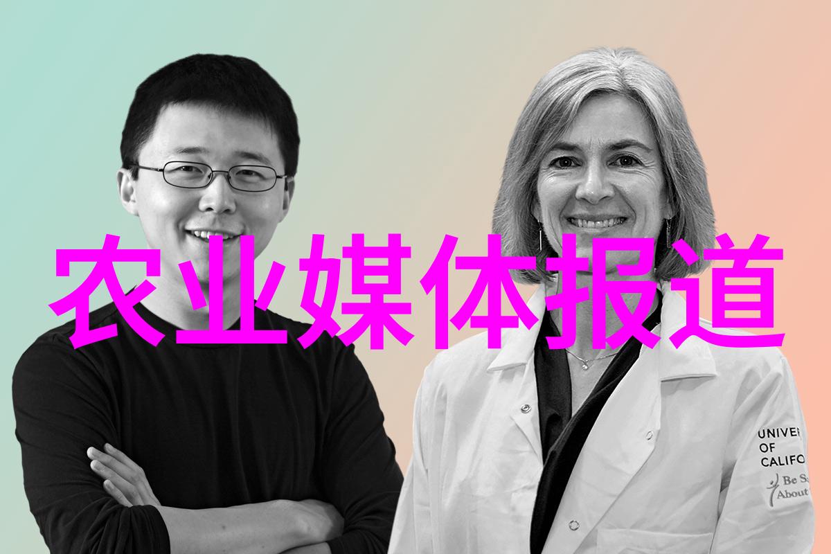 多肉植物我的室内小绿人