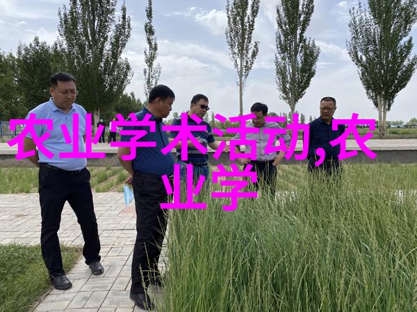 鸽子养殖技术全解从繁育到饲料管理的详细指南