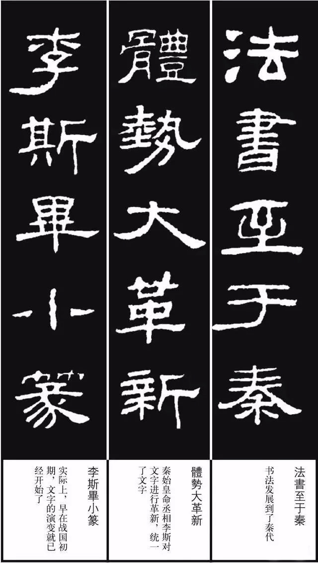 花卉种植步骤-从选择种子到欣赏开花详解花卉种植的全过程