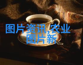 秋葵的功效与作用我来告诉你怎么吃秋葵才能健康又美丽