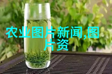 物料提升机-高效运输物料提升机的技术与应用