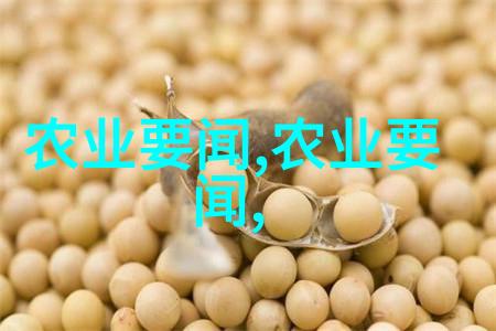 主题我来告诉你如何轻松下载中国蔬菜网app