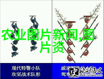 茶的艺术与智慧探索中国古代茶文化的深度