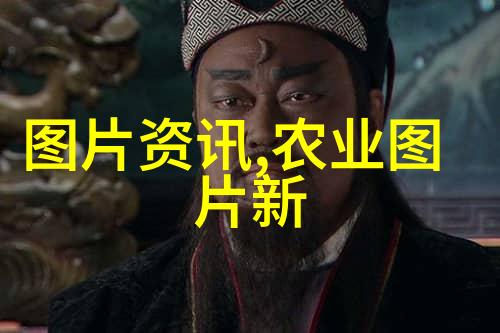 蝴蝶之舞翩跹的美丽轶事色彩斑斓的飞行艺术