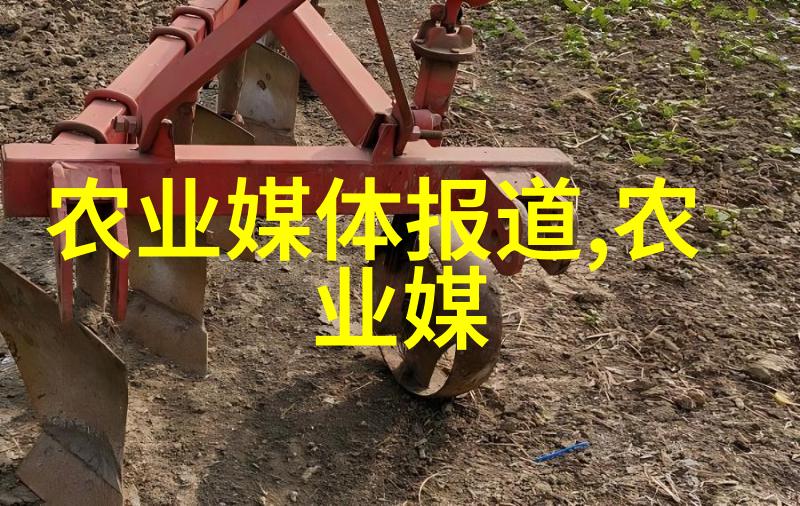 南方蜜蜂养殖之道选购适合气候的蜂箱秘籍