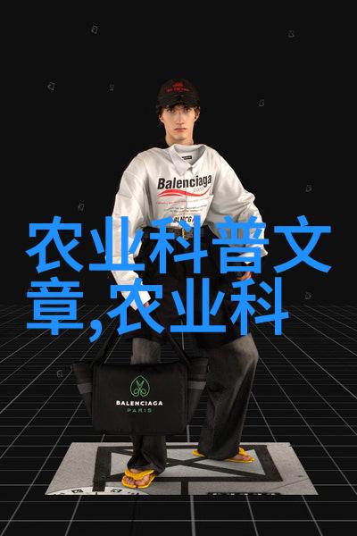 数字媒体艺术设计专升本从传统到未来创意的飞跃之路