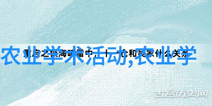 昵茶网官网我的午后小确幸探索之旅