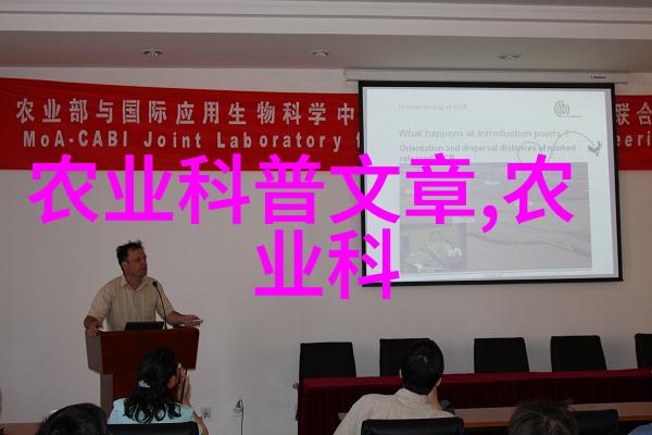 养羊大棚如何建设-创智牧场完善指南
