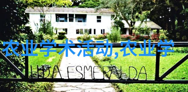 路边绿化苗木品种大全 - 翠绿常伴探索完美路边植物的秘密