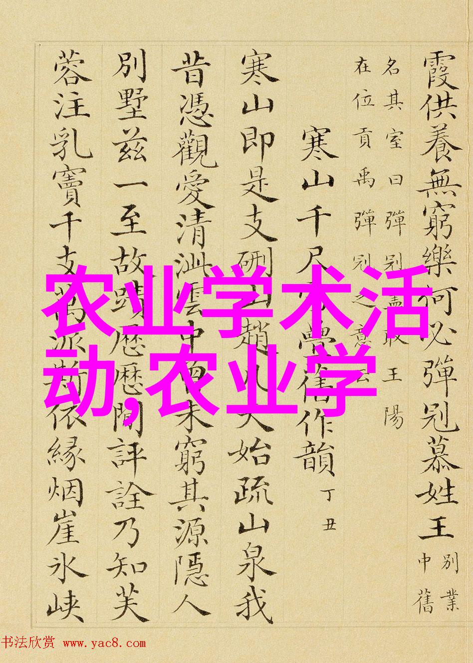 养羊标语口号大全 - 绿色牧场悠然自得养羊口号的智慧与魅力