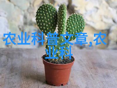 养一斤青蛙用多少斤饲料探究虾皮与蛋白质在幼体青蛙生长发育中的作用