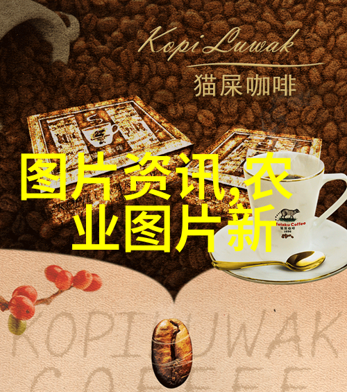 极品Y荡人生白柔柔的逆袭之路