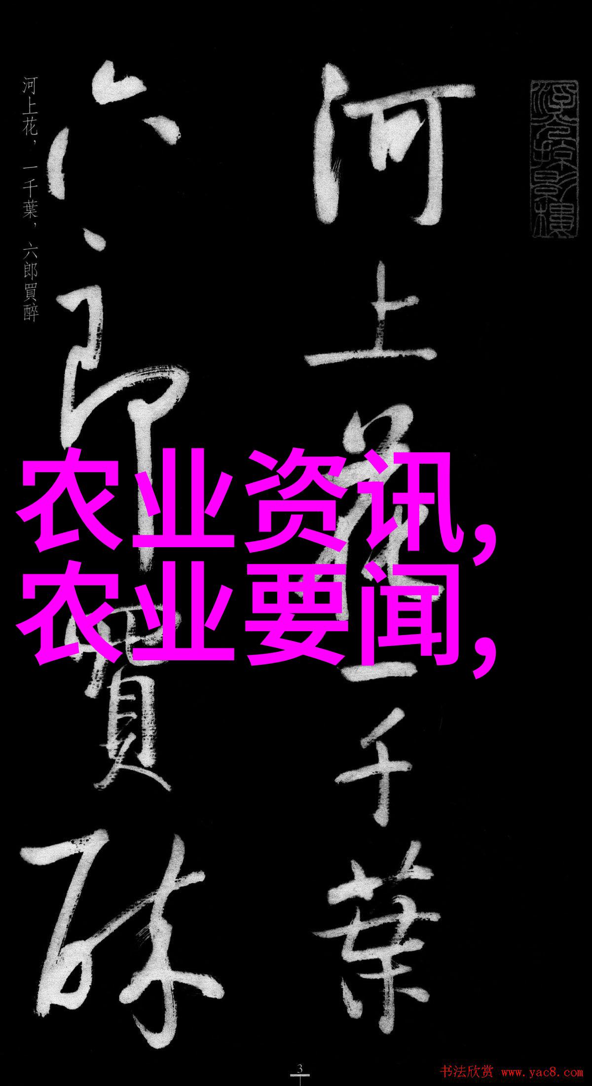 园艺花卉种植技术亲手把握春天的色彩