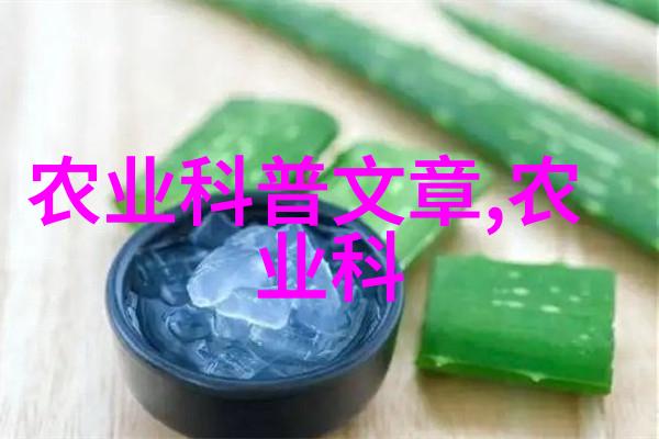 从播种到欣赏郁金香全程育苗指南