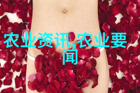 小黄瓜的故事从田间到餐桌的小生意