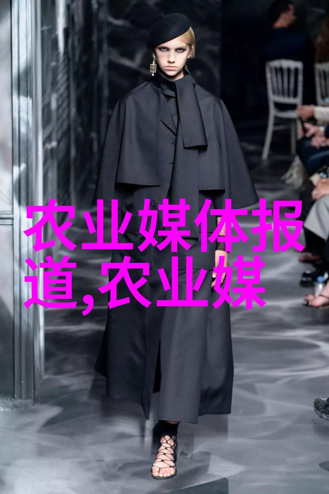 家庭花卉盆栽 - 家庭园艺的温馨享受如何选择和养护盆栽花卉让家中充满生机